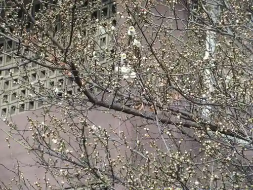 妙経寺(東京都)