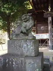 春日神社の狛犬