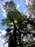 天引八幡神社(京都府)
