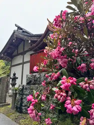 金刀比羅神社(奈良県)