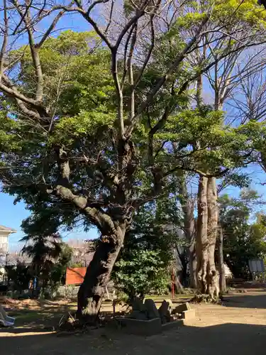 寄木神社(神奈川県)