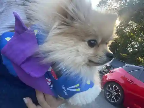 津島神社(愛知県)