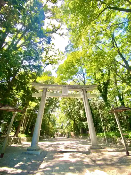谷保天満宮(東京都)