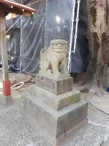 岩槻愛宕神社の狛犬