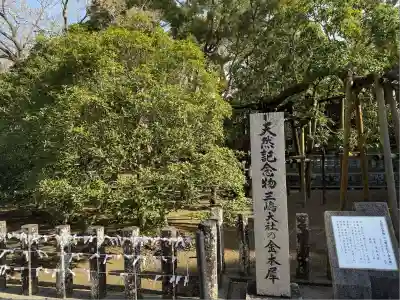 三嶋大社(静岡県)