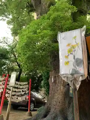 菅生神社のその他建物