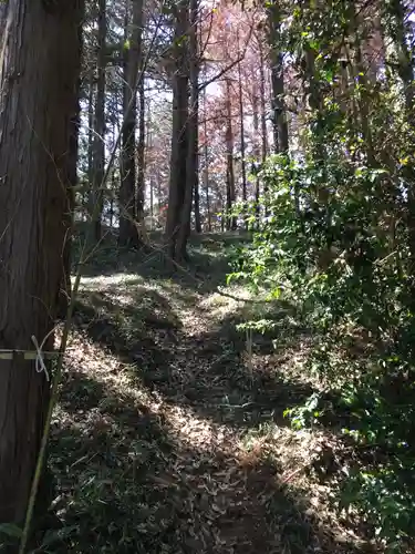 主石神社の自然