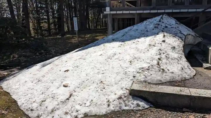 上川神社の自然