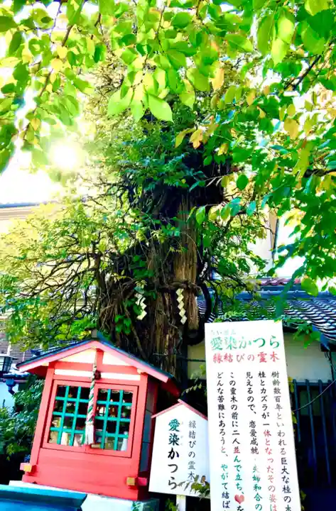 愛染堂勝鬘院の自然