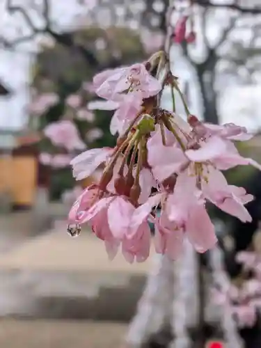 馬橋稲荷神社(東京都)