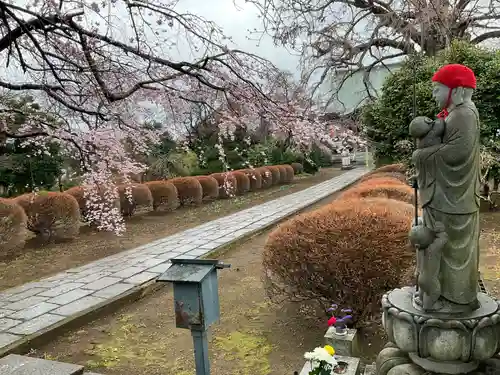 圓藏院(埼玉県)