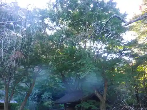 瑞泉寺のその他建物