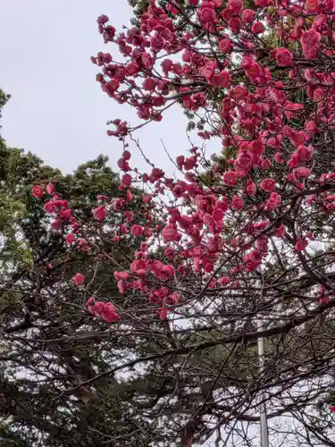 田端神社(東京都)