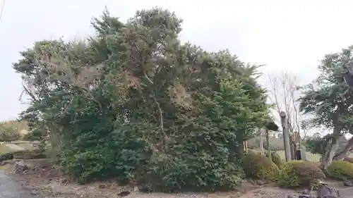 穴塚稲荷神社の自然