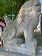 幌向神社の狛犬