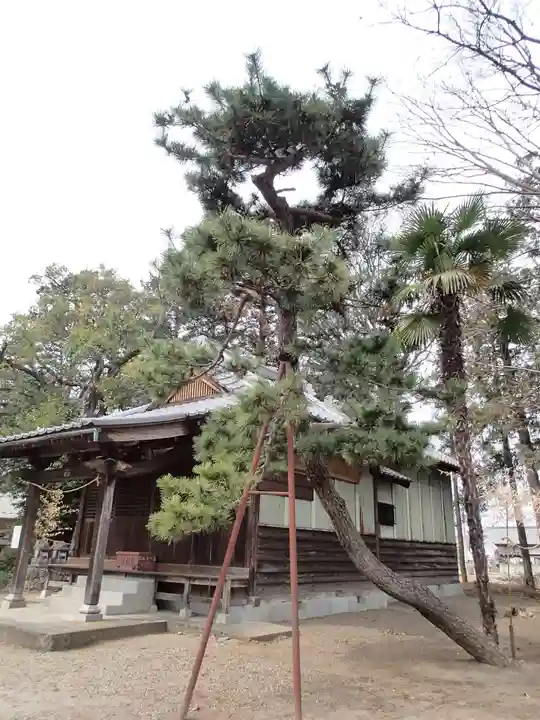 今城青坂稲実池上神社の庭園