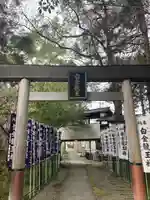 白金龍王社(愛知県)