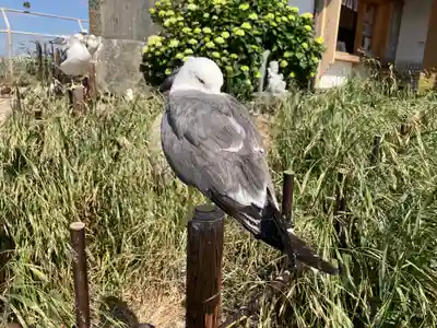 蕪嶋神社(青森県)