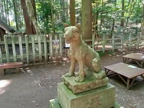 宝登山神社の狛犬