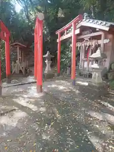 刺田比古神社の鳥居(2025年11月02日(日) 05時55分37秒投稿)