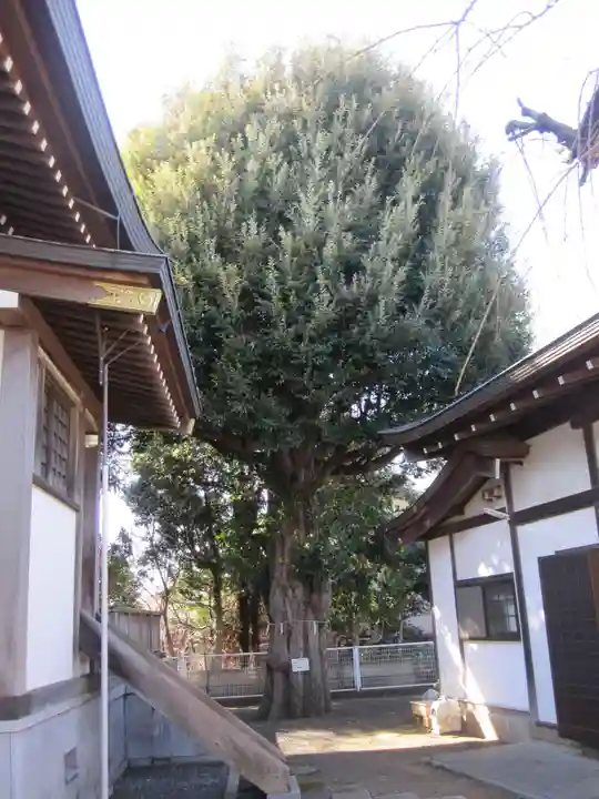 駒形神社(千葉県)