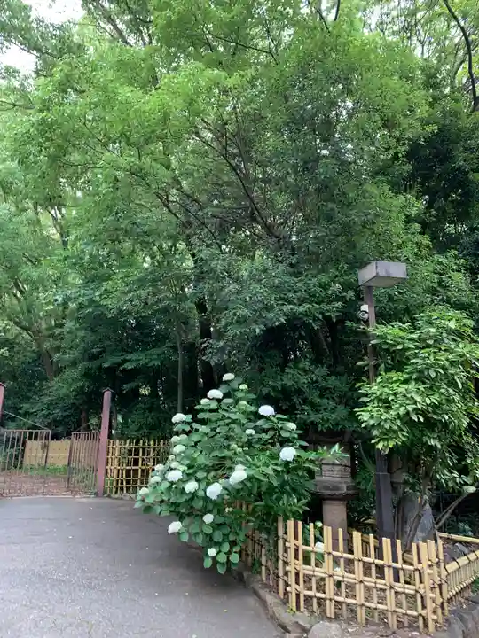 生田神社(兵庫県)