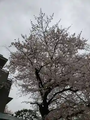 正蔵院(東京都)