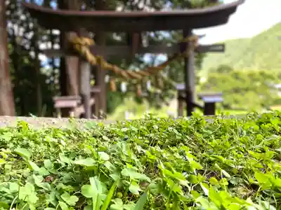 子檀嶺神社の鳥居