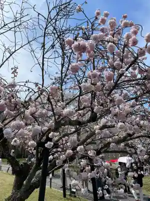 宝聚院(京都府)