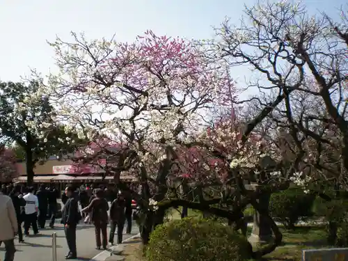太宰府天満宮の自然