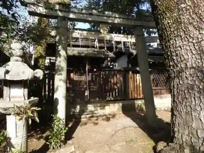 御霊神社(上御霊神社)の本殿・本堂