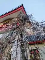 成願寺(東京都)