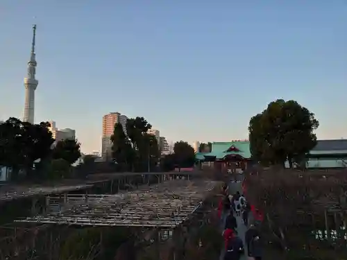 亀戸天神社の庭園