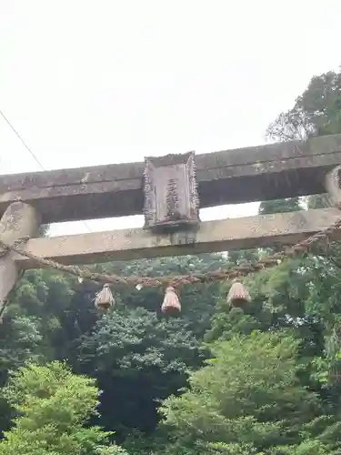 白山比咩神社の鳥居