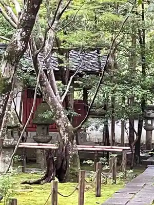蓮華寺（洛北蓮華寺）(京都府)