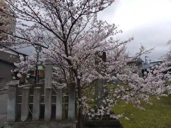 日吉神社(福井県)