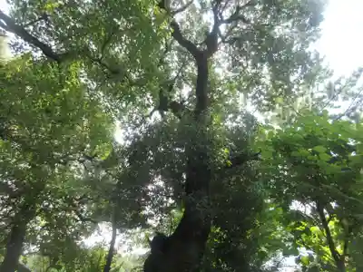 昌光律寺(愛知県)