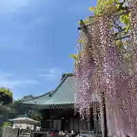 妙福寺の本殿・本堂