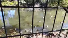 菊田神社の庭園