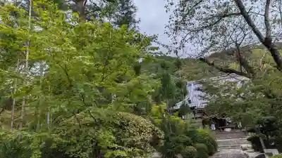 妙祐久遠寺(京都府)