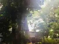 鎮守氷川神社の自然