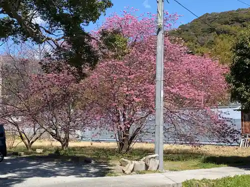 川津来宮神社の自然