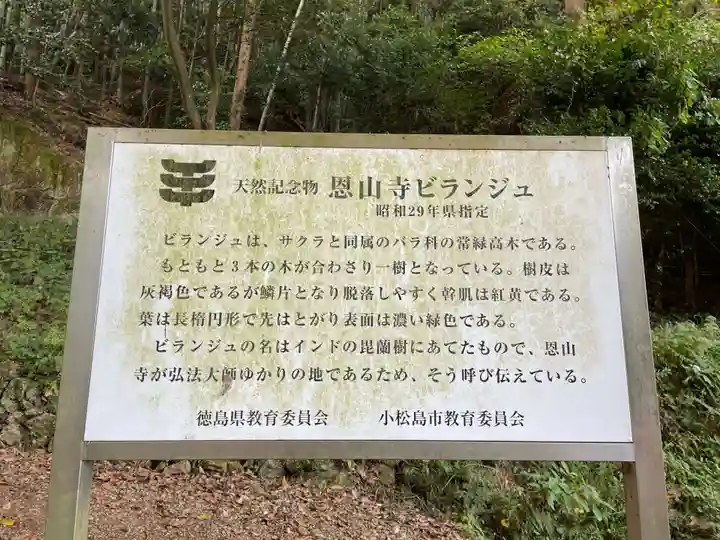 恩山寺(徳島県)