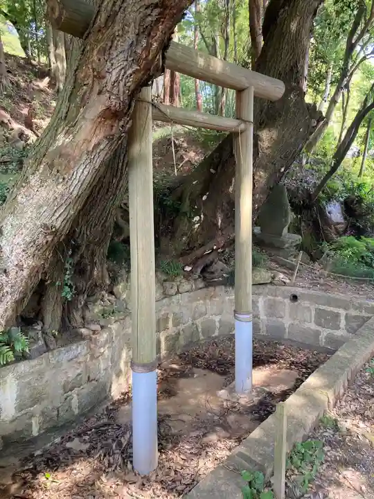 常陸國總社宮(茨城県)
