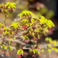 伊勢の国 四天王寺(三重県)