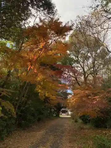 妙経寺(千葉県)