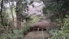 室生寺の建物その他