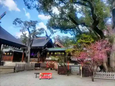 和泉國一之宮　大鳥大社(大阪府)