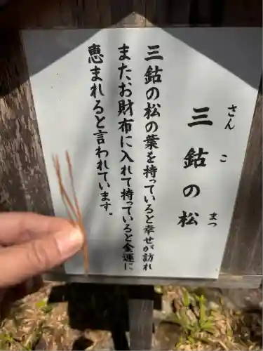 玉桂寺(滋賀県)