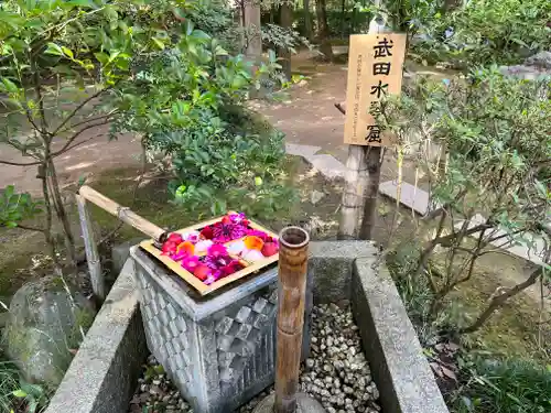 武田神社(山梨県)